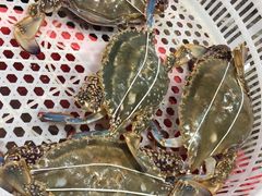 -金海湾海鲜排档(朱家尖店)