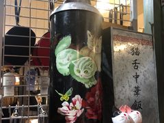 -猫咪博物馆(顶澳仔猫街店)
