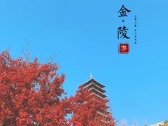 -牛首山文化旅游区