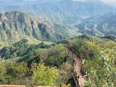 -大岭沟猕猴桃谷风景区