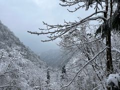 -九峰山