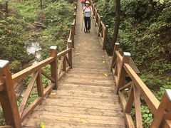 -大岭沟猕猴桃谷风景区