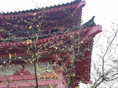 -重庆园博园