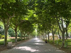 -上海鲜花港