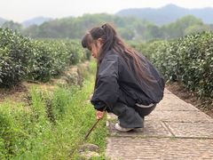 -中国茶叶博物馆(双峰馆区)