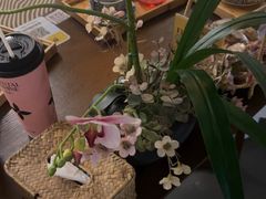 -施奈儿.洗头頭療.按摩SPA.采耳(上梅林店)