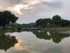 -东莞植物园