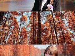 -黄海国家森林公园