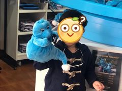 -怀托摩萤火虫洞