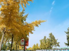 -河北工业大学(北辰校区)