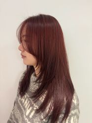 -SALON DE VANHADA