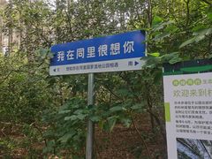 -同里国家湿地公园