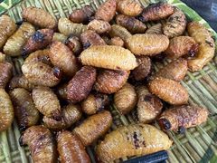 -竹泉农庄·竹筒饭(从化店)