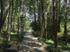 -宝界山林公园