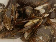 -渔中舟海鲜大排档(普陀沈家门店)