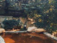 -天目湖涵田半山温泉
