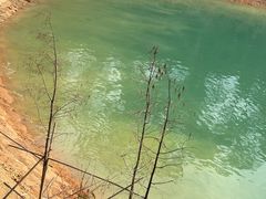 -广州市流溪河国家森林公园