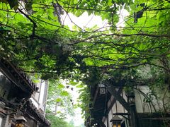 -胖娃古镇鸡杂(磁器口总店)