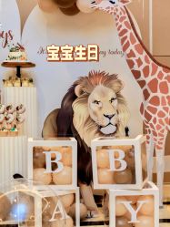 -觅糖派对·宝宝宴生日宴一站式派对策划(河西店)