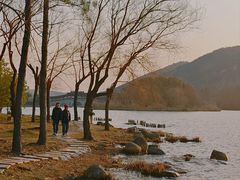 -长广溪湿地公园