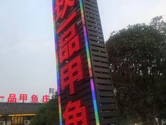 -高坎一品甲鱼庄(两河店)
