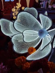 -雅奇婚庆(永乐园社区店)