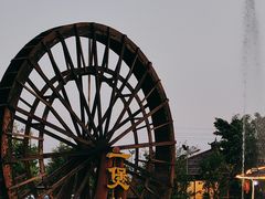 -一煲鸽
