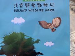 -北京野生动物园