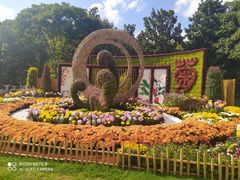 -上海共青森林公园