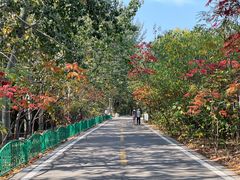 -石家庄市动物园