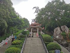 -青礁慈济宫