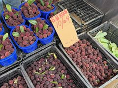 -五里多农博广场