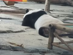 -武汉动物园
