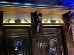 -骑士KTV(红谷滩万达店)