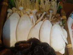 -九宫格重庆火锅(北国商城店)