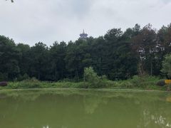 -铁山坪森林公园