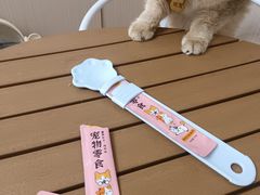 -唐小姐の私宠·宠物洗护美容·撸猫馆·购宠(周浦万达旗舰店)