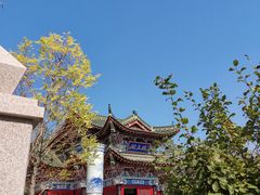 -武清南湖绿博园