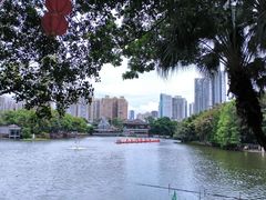 -荔湾湖公园