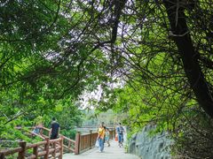-大屏嶂森林公园