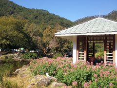 -广州市石门国家森林公园