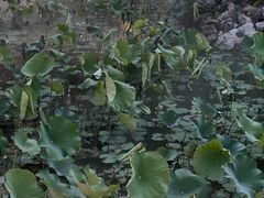 -丝绸小镇荻港古村