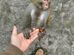 -黔灵山公园
