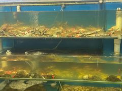 -仙螺岛海鲜自助餐厅(总店)
