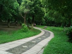 android_upload_pic-洪都公园