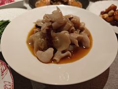 糊辣玉耳脆鱼肚-星·South Beauty·俏江南(国贸店)