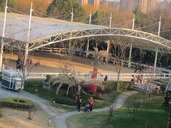 -上海东方佘山翰悦阁酒店·Vie全日制餐厅