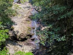 -东天目山风景区