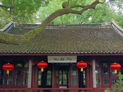-上海醉白池公园