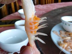 -大湾区中央湿地公园-十九涌